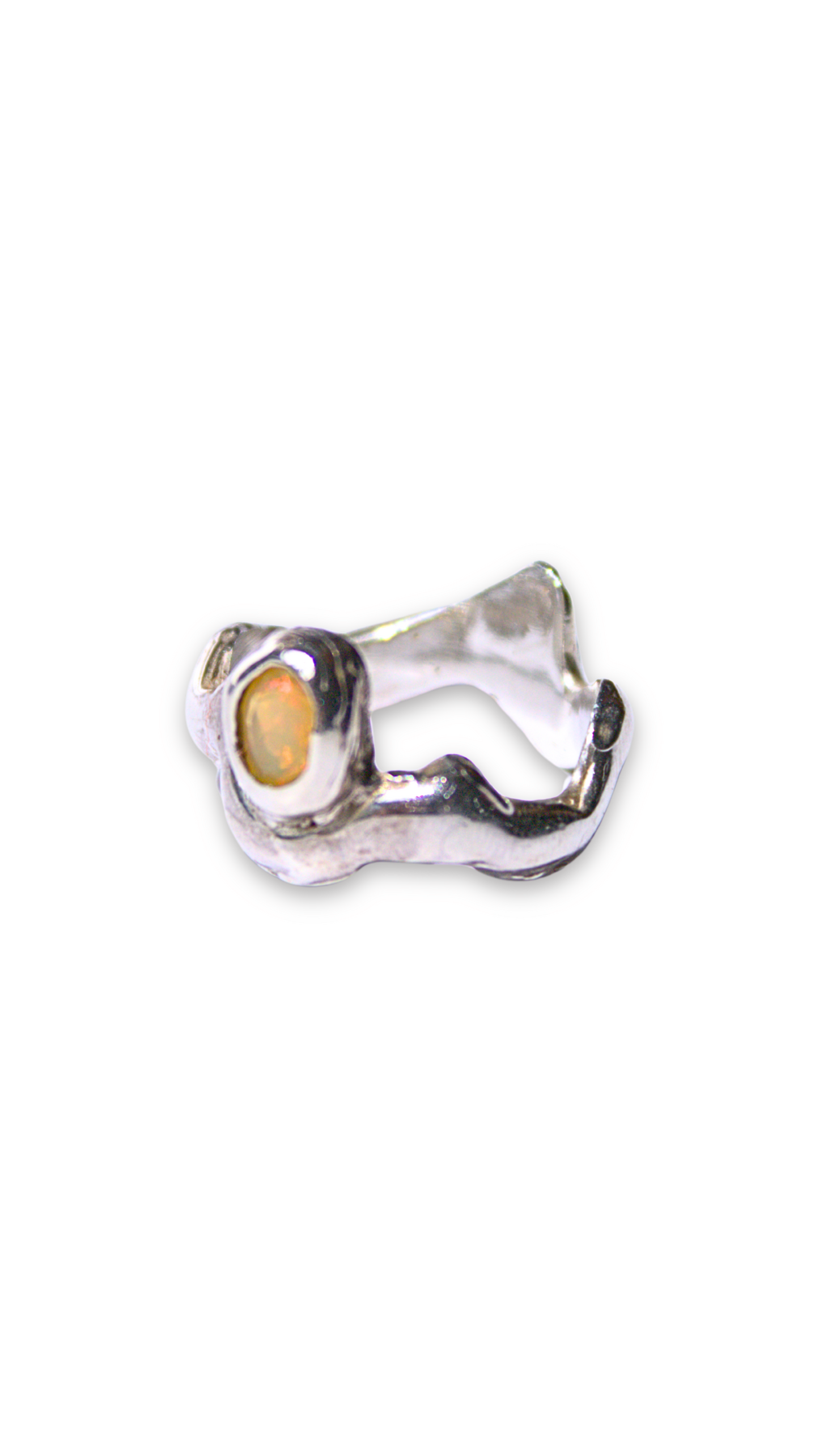 Anillo Orgánico