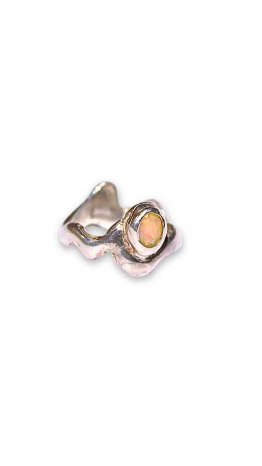 Anillo Orgánico