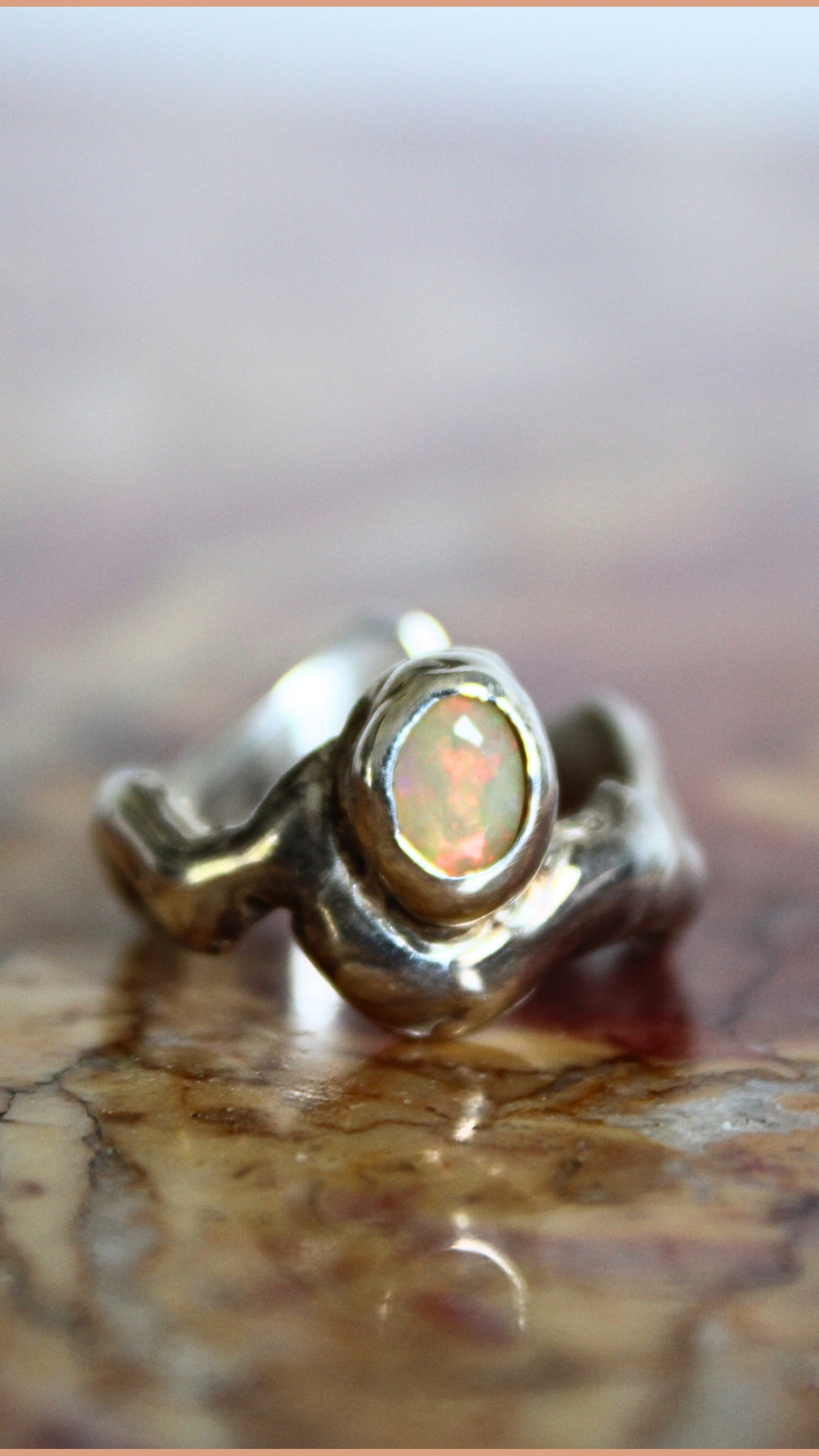 Anillo Orgánico