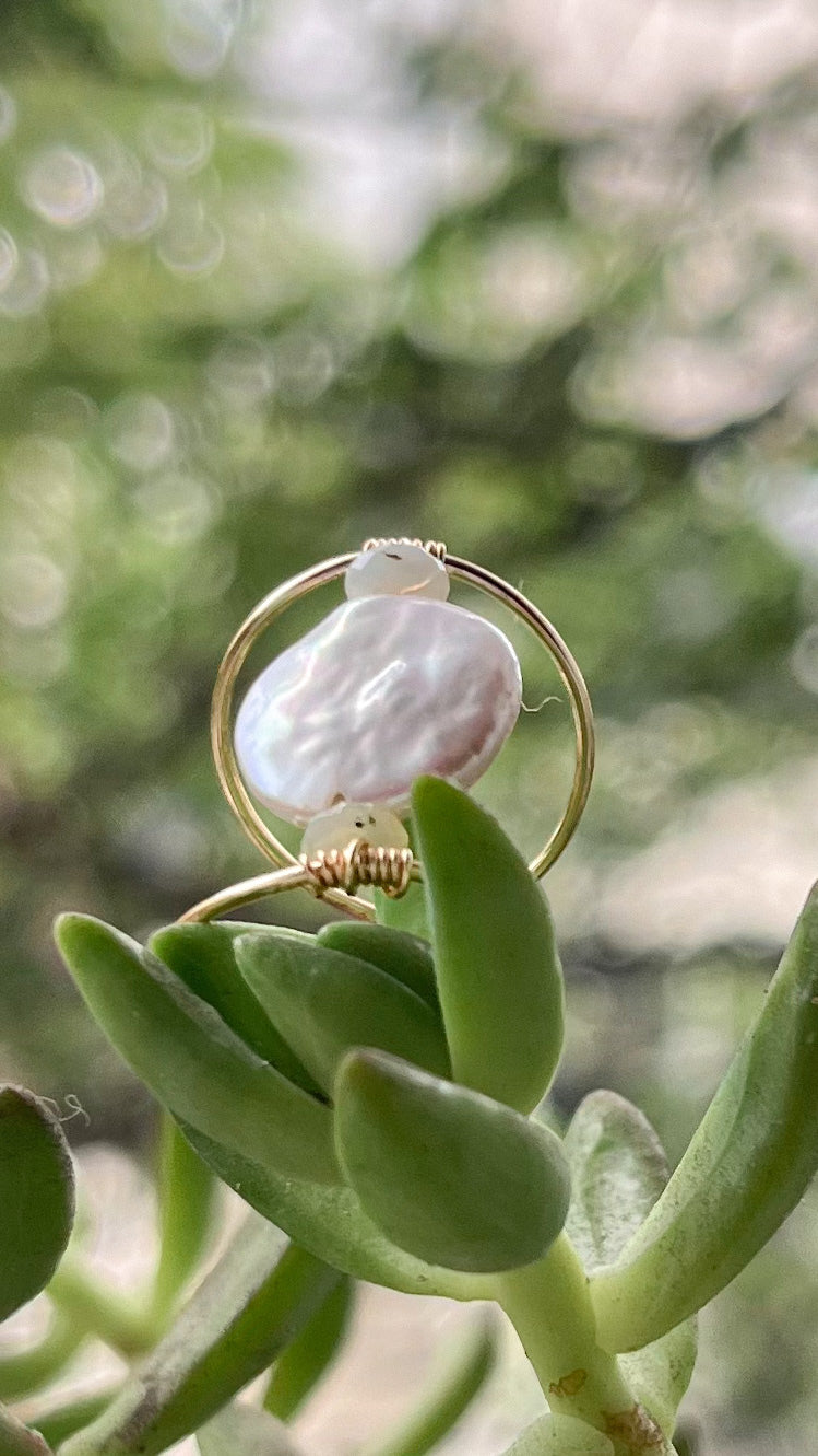 Anillo URI